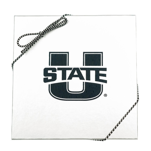 Utah State Chocolate Squares Gift Box